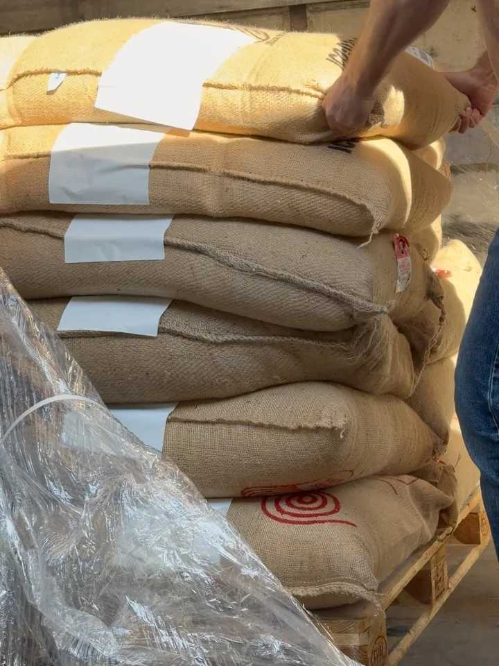 Stacked green coffee sacks in sunlight